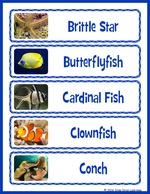 Coral Reef Word Wall